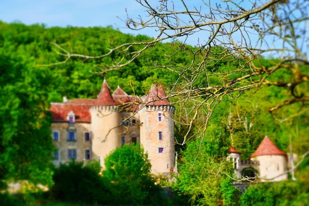 Chateau De Saint Dau *