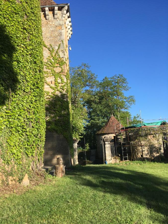 Hébergement de vacances Chateau De Saint Dau