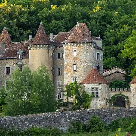 Chateau De Saint Dau Figeac Buitenkant foto