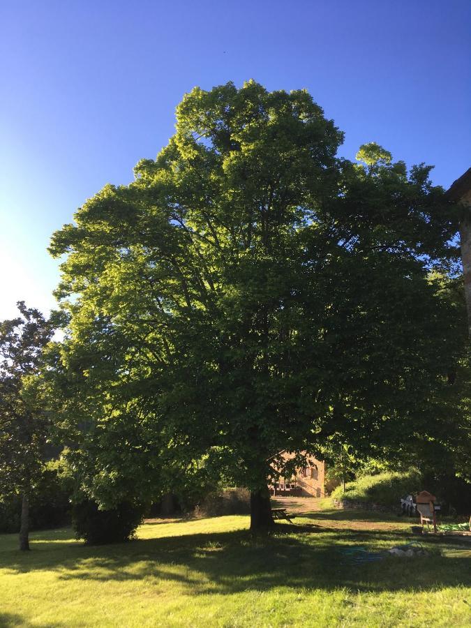 Holiday home Chateau De Saint Dau Figeac
