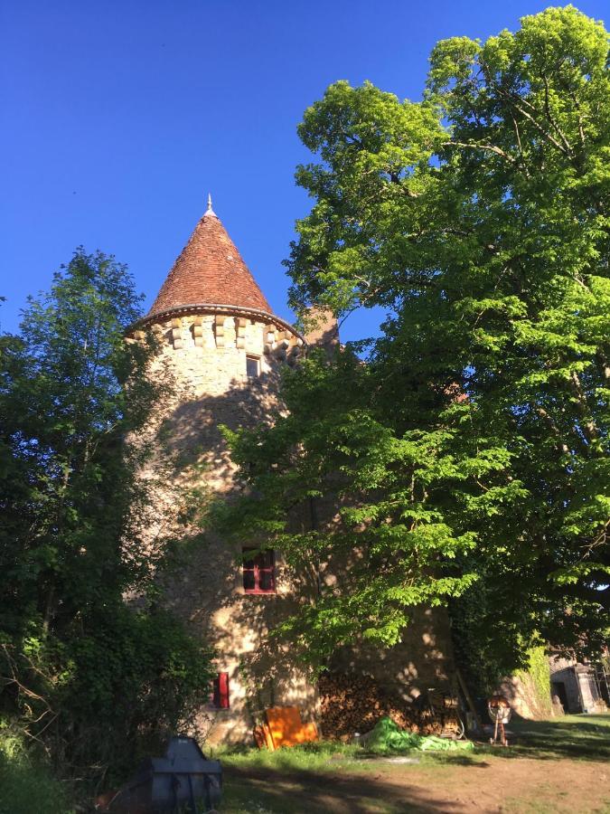 Chateau De Saint Dau Holiday home Figeac